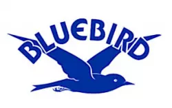 Bluebird (3)