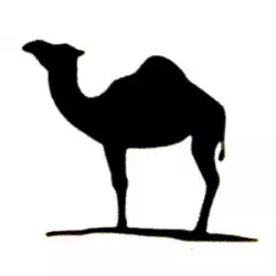 Camel Productions