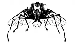 Fly Records (3)