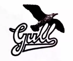 Gull