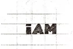 iAM Management