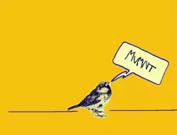 MVMNT