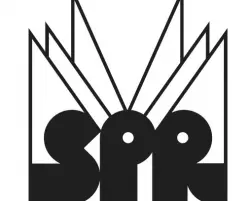 Sister Polygon Records