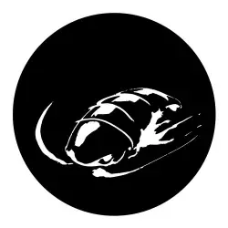 Talitres Records
