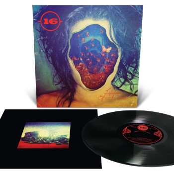 LP 16: Lifespan Of A Moth