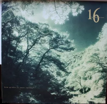 16 Tambourines: How Green Is Your Valley ?