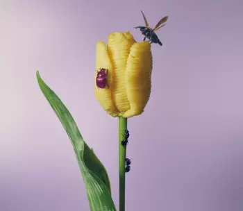 おいしいパスタがあると聞いて