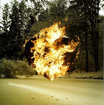 CD 36 Crazyfists: Rest Inside The Flames