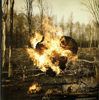 CD 36 Crazyfists: Rest Inside The Flames