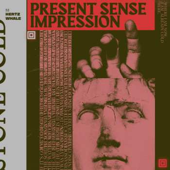 Album 52 Hertz Whale:  Present Sense Impression 