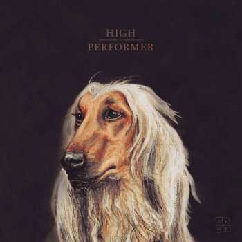 LP 5K HD: High Performer