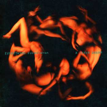 LP Everything Everything: A Fever Dream LTD