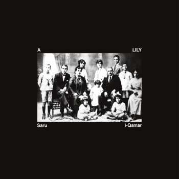 LP A Lily:  Saru L-Qamar CLR