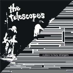 Album The Telescopes: Down the Stairs / I Wanna Be Your Dog