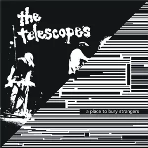 The Telescopes: Down the Stairs / I Wanna Be Your Dog