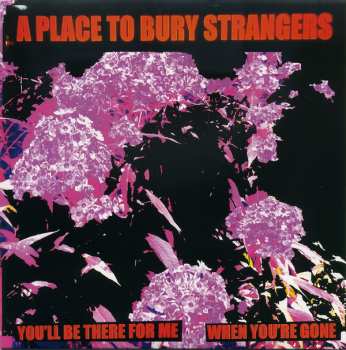 SP A Place To Bury Strangers: You'll Be There for Me / When You're Gone