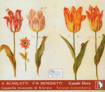 CD Alessandro Scarlatti: Gaude Flore
