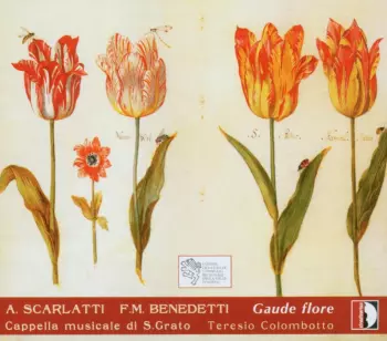 Gaude Flore