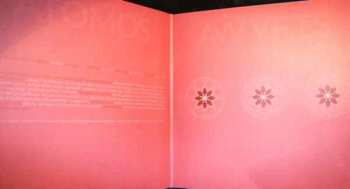 2LP A Winged Victory For The Sullen: Atomos