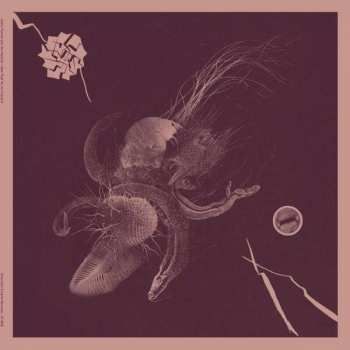 Album Aaron Turner & Jon Mueller: Now That You've Found It