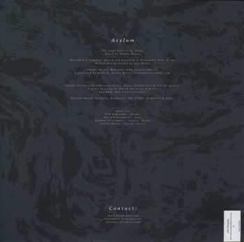 LP Abest: Asylum LTD | CLR