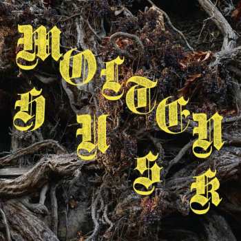 LP Abest: Molten Husk LTD