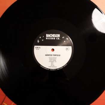LP Aborted Tortoise: An Beach LTD