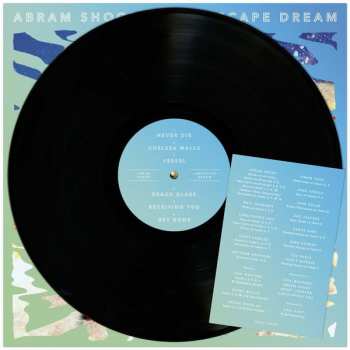 LP Abram Shook: Landscape Dream