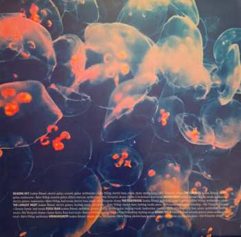 LP Abstract Crimewave: The Longest Night CLR | LTD