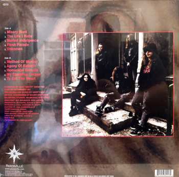 LP Accidental Suicide: Deceased LTD