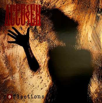 LP Accuser: Reflections