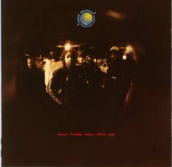 CD Adam Holzman & Brave New World: The Big Picture