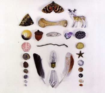 Album Adam & The Amethysts: Flickering Flashlight