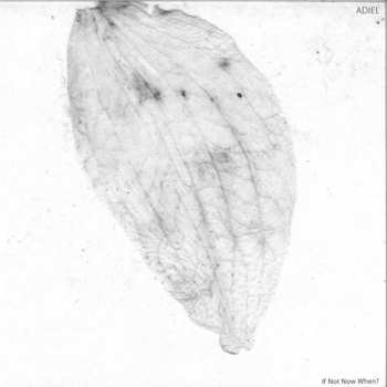 LP Adiel: If Not Now When?