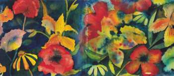 2CD Adrianne Lenker: Songs And Instrumentals