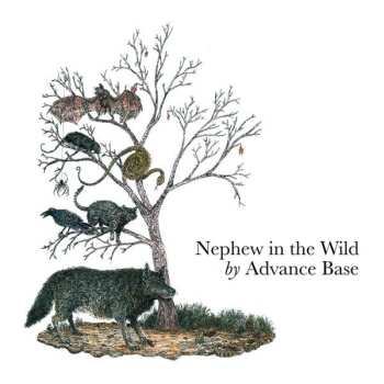 CD Advance Base: Nephew In The Wild