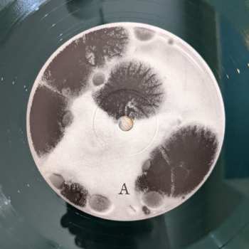 LP AEIR: Vol. I: A Frith Befouled CLR