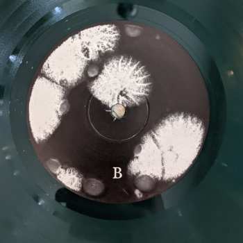 LP AEIR: Vol. I: A Frith Befouled CLR