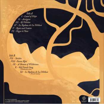 LP Aephanemer: A Dream Of Wilderness