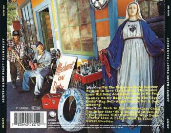 2CD Aerosmith: A Little South Of Sanity