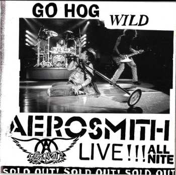 2CD Aerosmith: A Little South Of Sanity