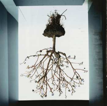 CD AFI: Decemberunderground