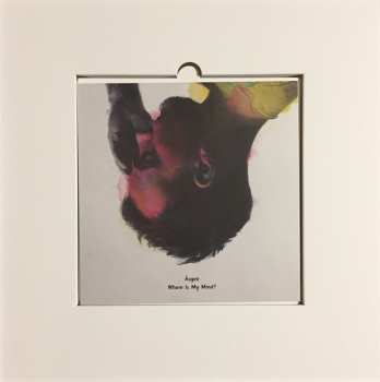 LP/2CD/SP Ásgeir Trausti: Afterglow DLX | LTD