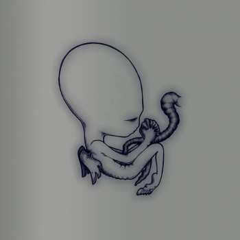 4CD/Doos Sigur Rós: Ágætis Byrjun (A Good Beginning) DLX