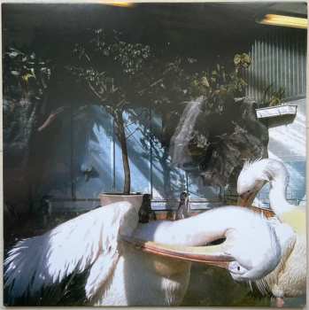 Album Agent blå: Medium Rare
