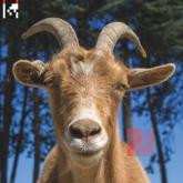Album Agoria: .Dev