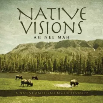 Ah Nee Mah: Native Visions