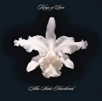 2LP Kings Of Leon: Aha Shake Heartbreak