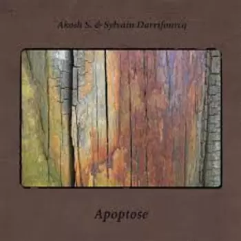 Sylvain Darrifourcq: Apoptose