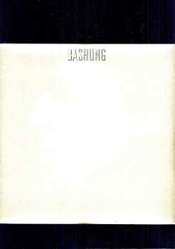 LP Alain Bashung: Novice